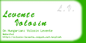 levente volosin business card